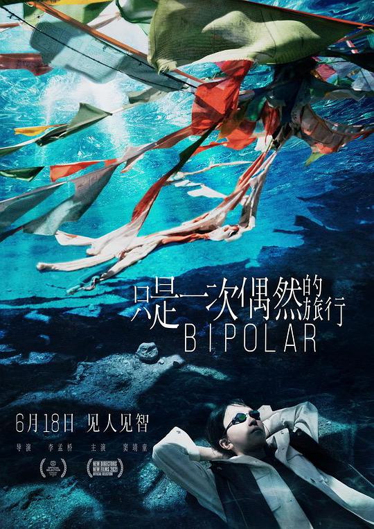 只是一次偶然的旅行(全集)